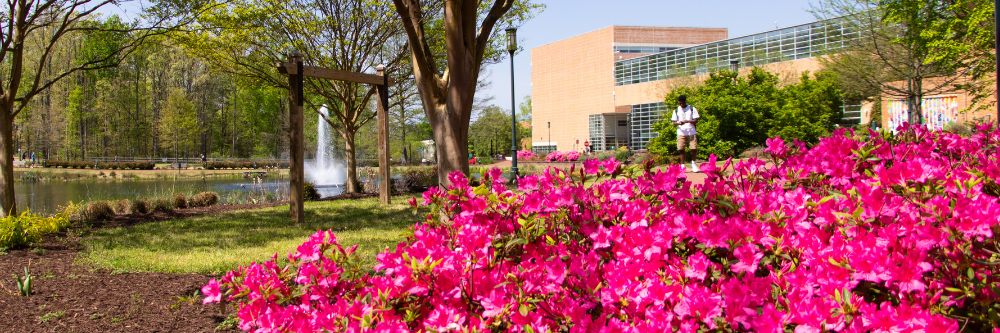 outdoor photo during spring on campus
