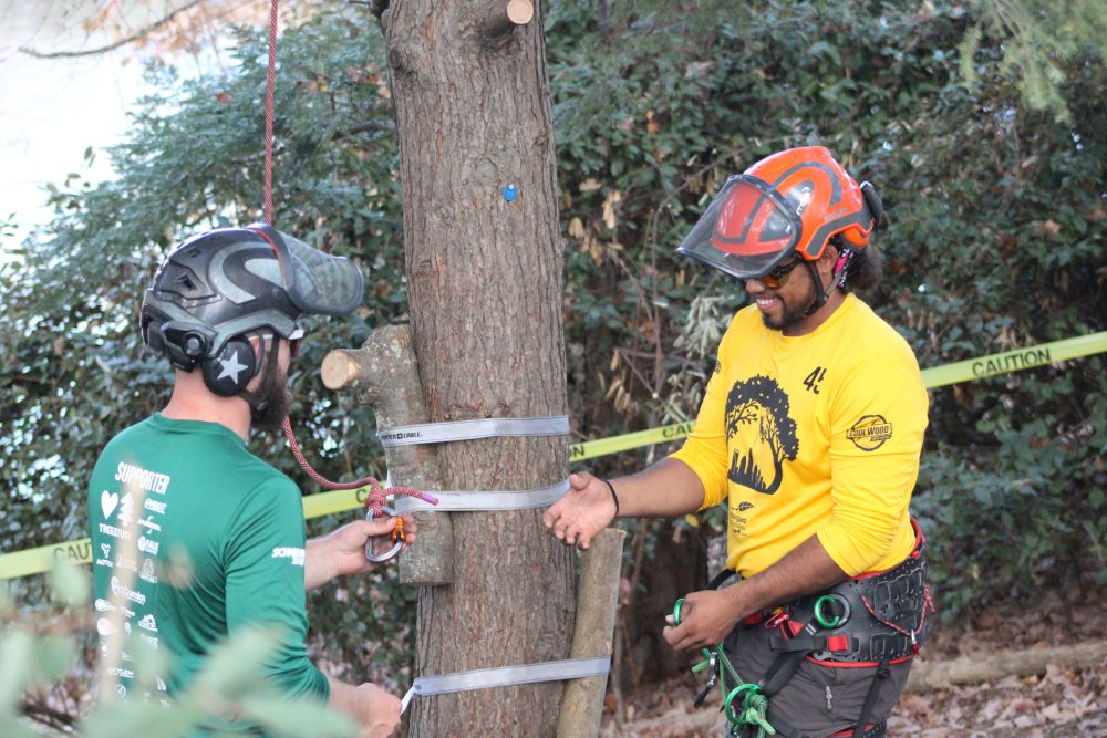 Tree Climbing Competition