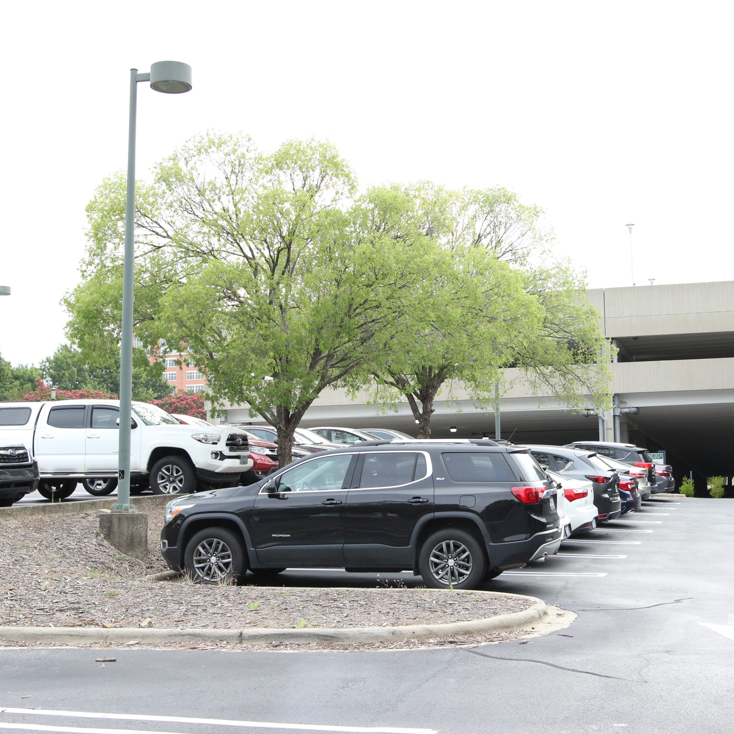A row of parked cars.